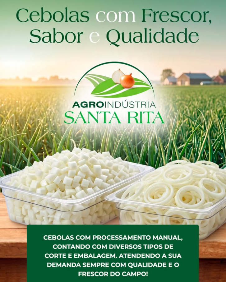 Cebolas com frescor e qualidade