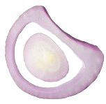 Cebola_2