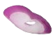 Cebola_3