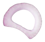 Cebola_4