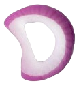 Cebola_5
