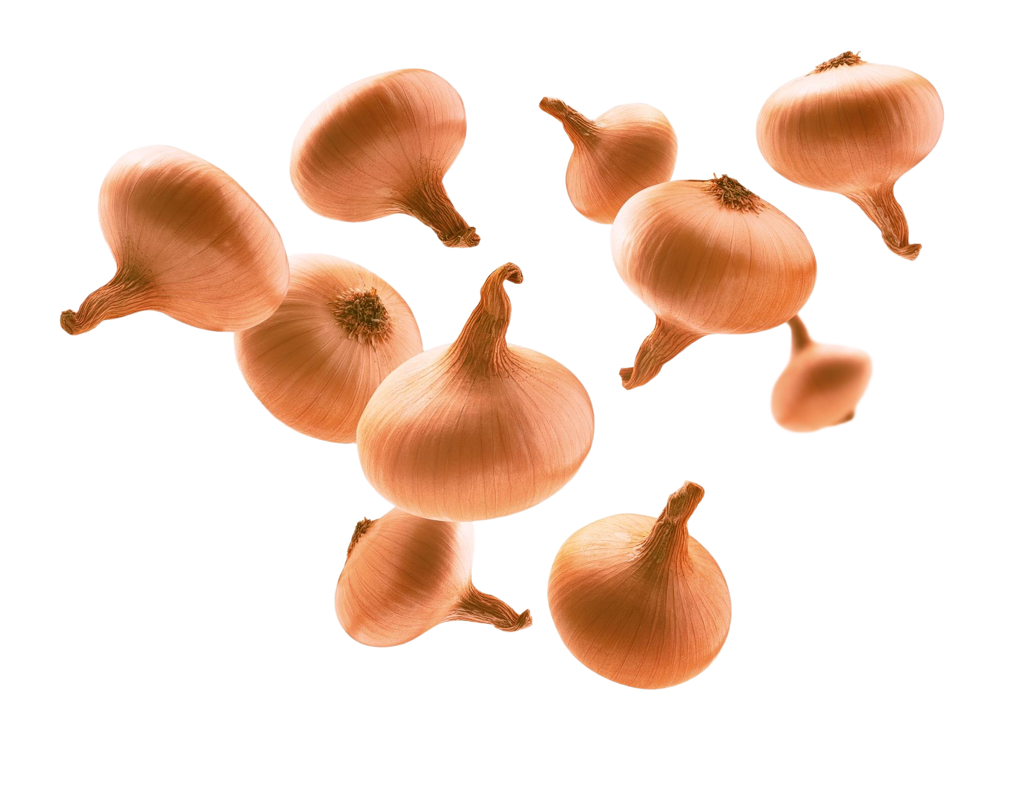ripe-golden-onion-levitates-white-background-b